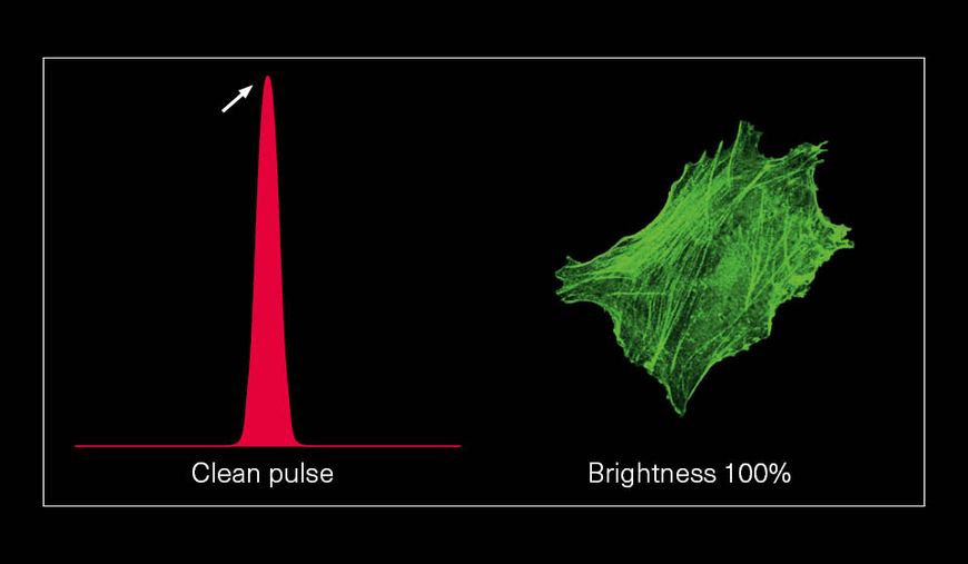 Graph showcasing a clean pulse with optimal two-photon signal, resulting in a clear cell image with 100% brightness. This demonstrates the importance of clean pulse shape for high-quality two-photon imaging, ensuring maximum brightness and signal accuracy.