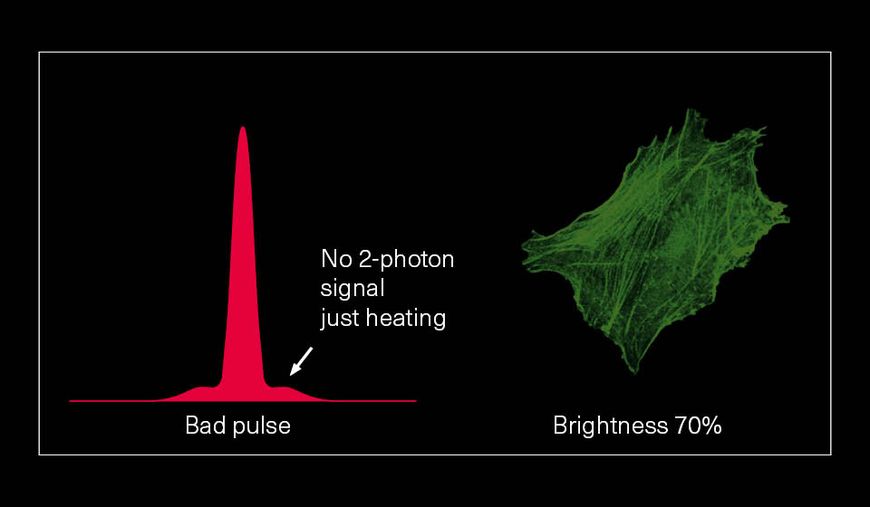Graph displaying a bad pulse with no 2-photon signal, leading to just heating, accompanied by an image of a cell with 70% brightness. This illustrates the impact of improper pulse shape on two-photon imaging, highlighting decreased signal quality.